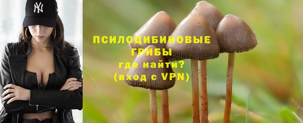 прущие грибы Арсеньев