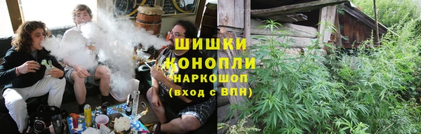 прущие грибы Арсеньев