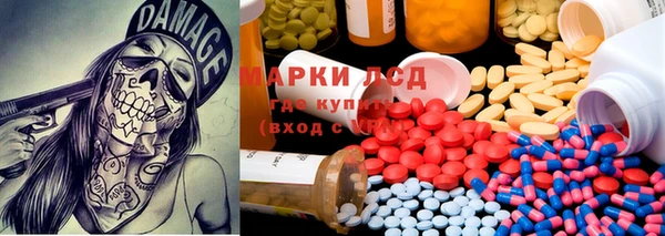 прущие грибы Арсеньев